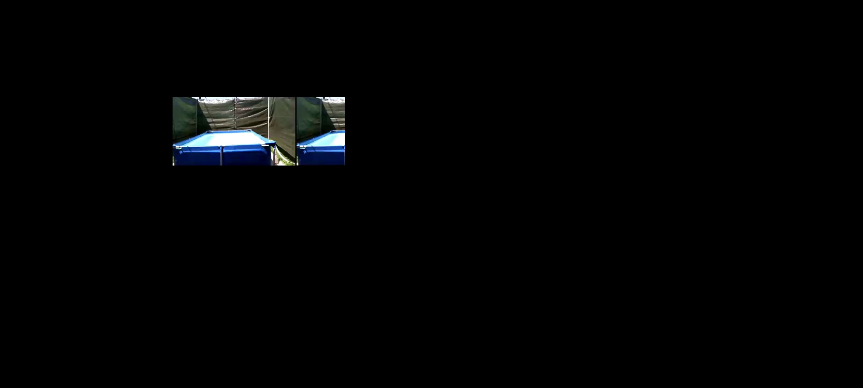 shyla62  28-07-2021